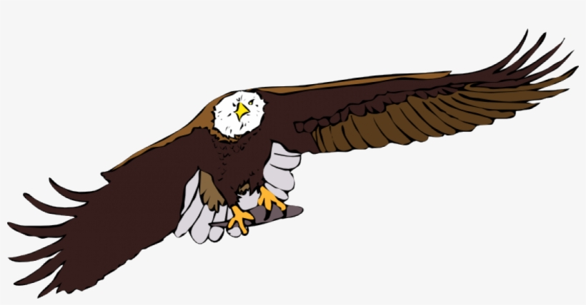 Bald Eagle Vector Graphics - Flying Eagle Clipart, transparent png #189357