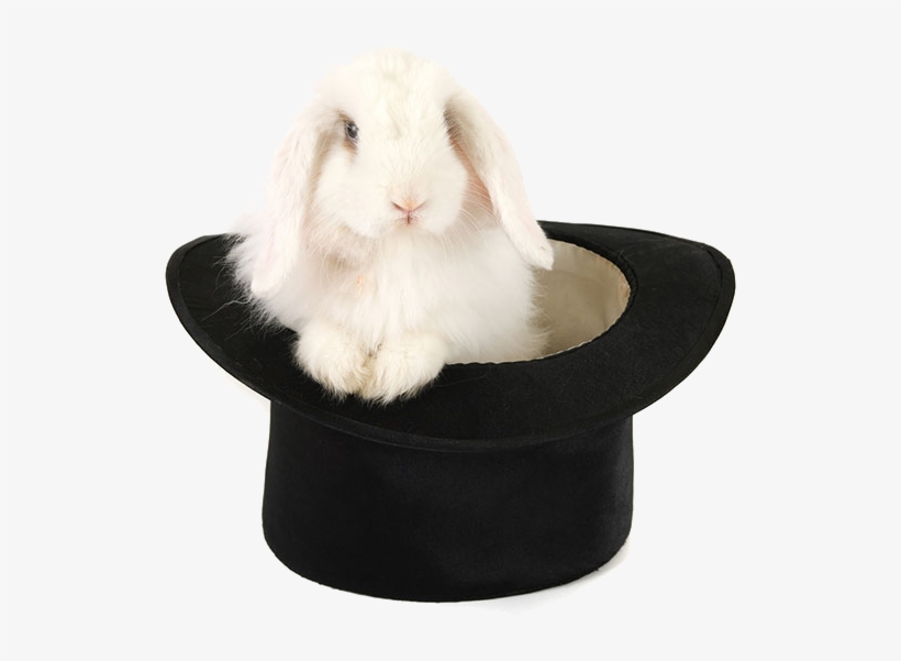 Rabbit Hat Png Picture - Rabbit In Hat Png, transparent png #189443