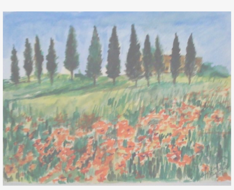 Cottonwood, transparent png #189891