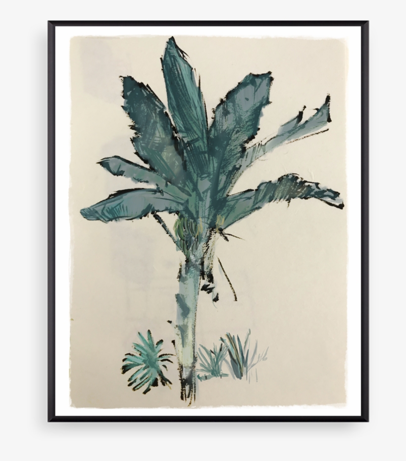 Banana Tree Thin Black, transparent png #189950