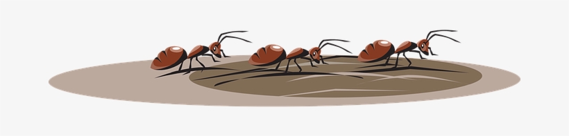 Dirt Clipart Ant Pile - Hormigas Caminando Png, transparent png #1800085