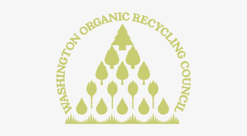 Worc 02 - Ymca Camp Chingachgook, transparent png #1800171