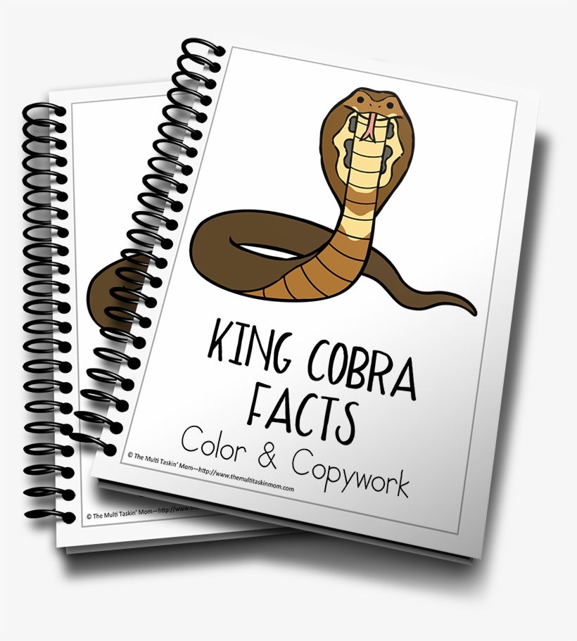 King Cobra Color And Copywork - Income Tax School Certificate, transparent png #1801329