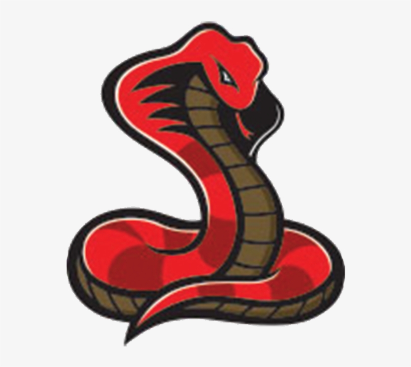 The Latest News For You Svg Transparent Stock - Vinyl Stickers Decals Dangerous Cobra Garage Home Window, transparent png #1801359