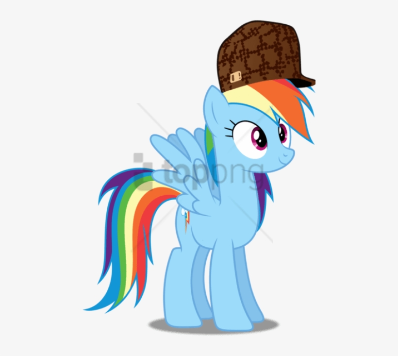Dashiesparkle, Hat, Meme, Meme Template, Rainbow Dash, - My Little Pony: Friendship Is Magic, transparent png #1803071
