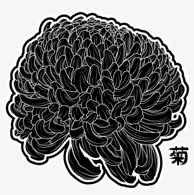 Drawing Transparent Chrysanthemum - Chrysanthemum Drawing Transparent, transparent png #1803373