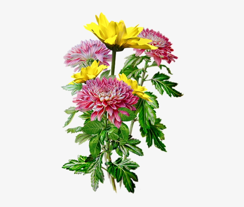 Pin By Elżbieta Berezowska On Png Mix - Рисунки Акварелью, transparent png #1803542