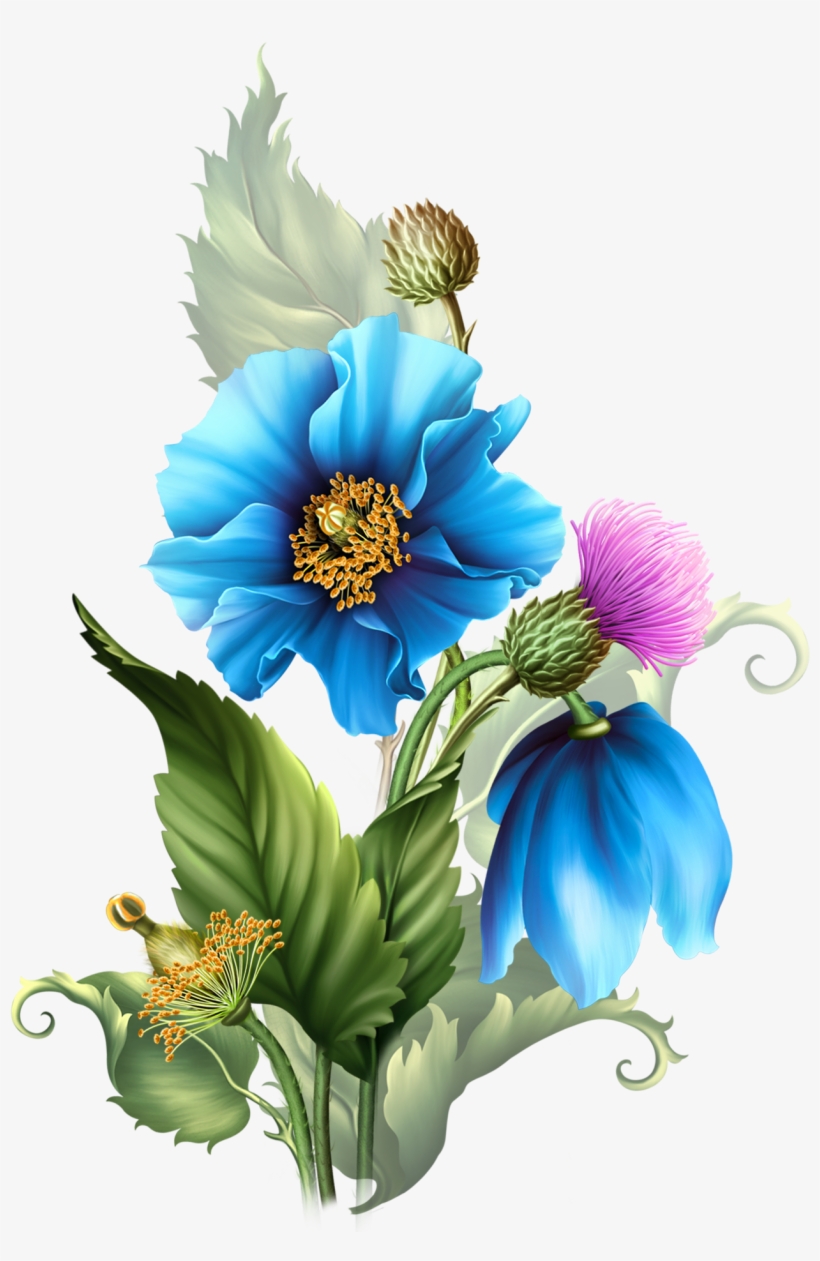 Himalyan Blue Poppies - Flower Png Blue Red, transparent png #1803701