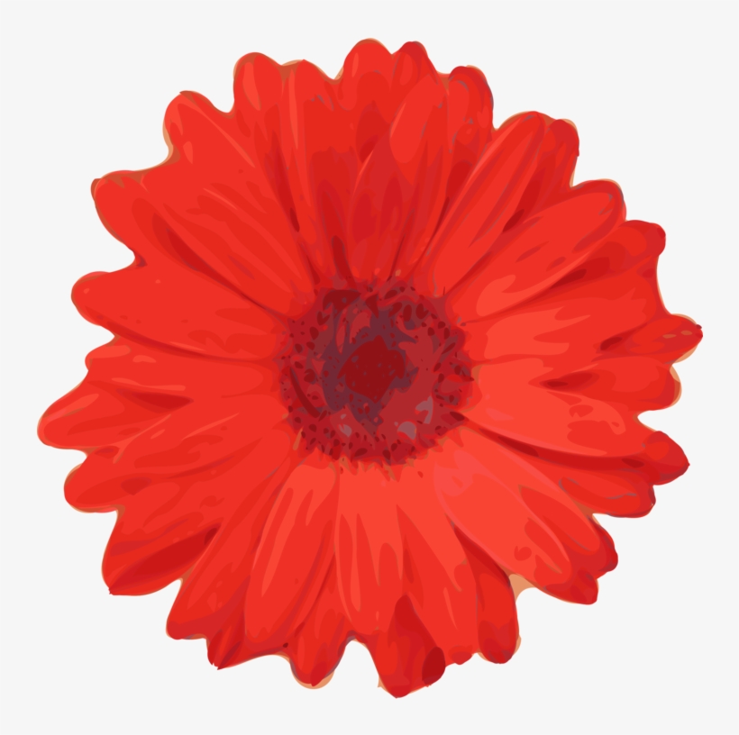 Flower Red Rose Common Daisy Petal - Red Flower Clip Art, transparent png #1803822