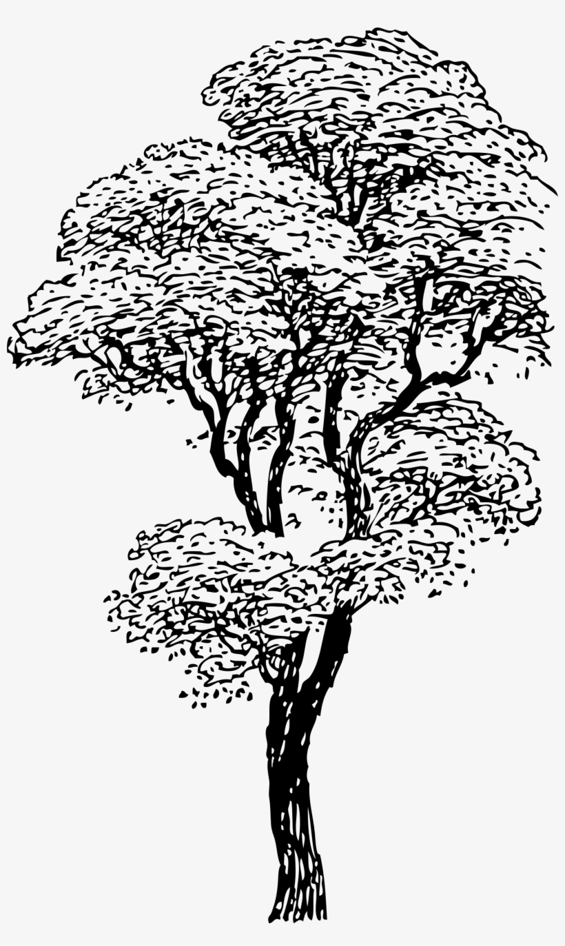 Big Image - Life: Philosophical Dialogues [book], transparent png #1803846