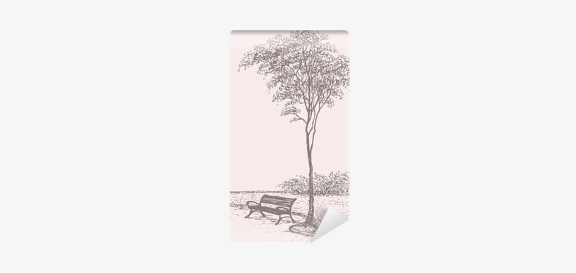Bench In Park Near A Tall Tree Wall Mural • Pixers® - Stock Illustration, transparent png #1803947