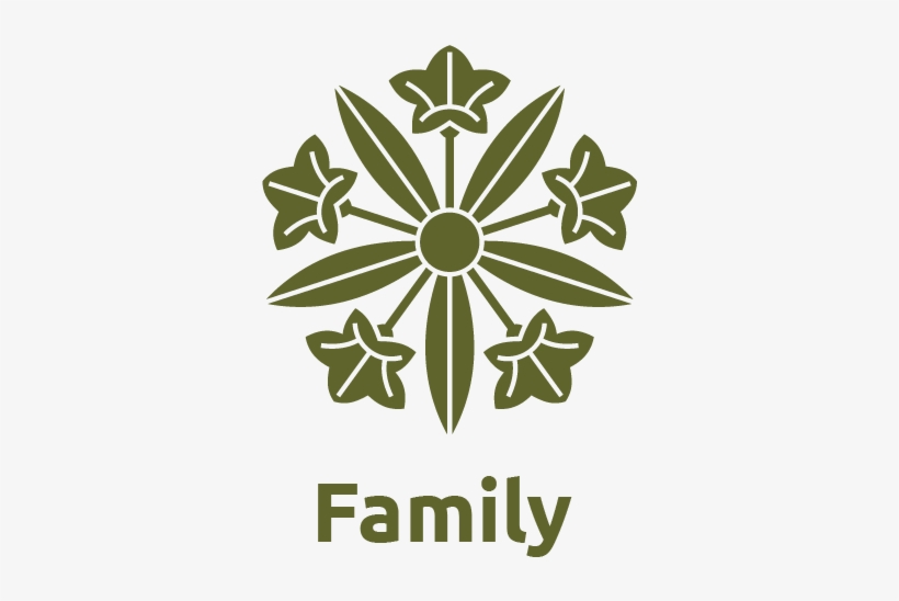 Parent And Teen Profiles, Workshops, Counselling And - 五 つ 竜胆 車, transparent png #1804139