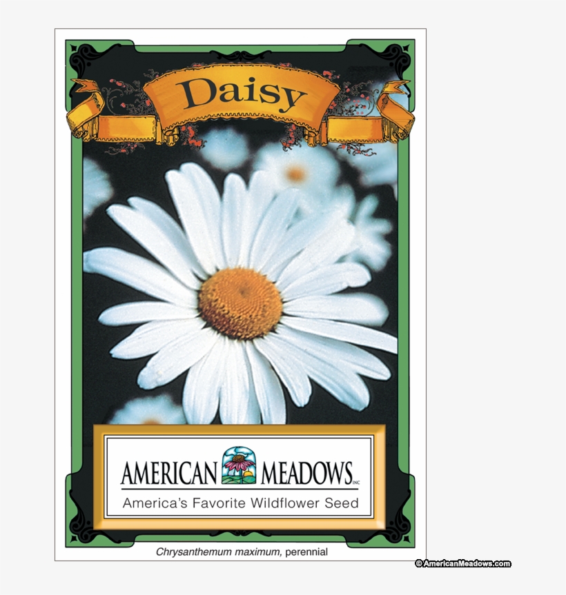 Daisy Seed Packet - Flower Seed Packets, transparent png #1804279