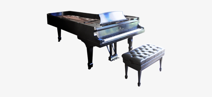 9' Concert Grand Piano - Steinway Model D Png, transparent png #1804683