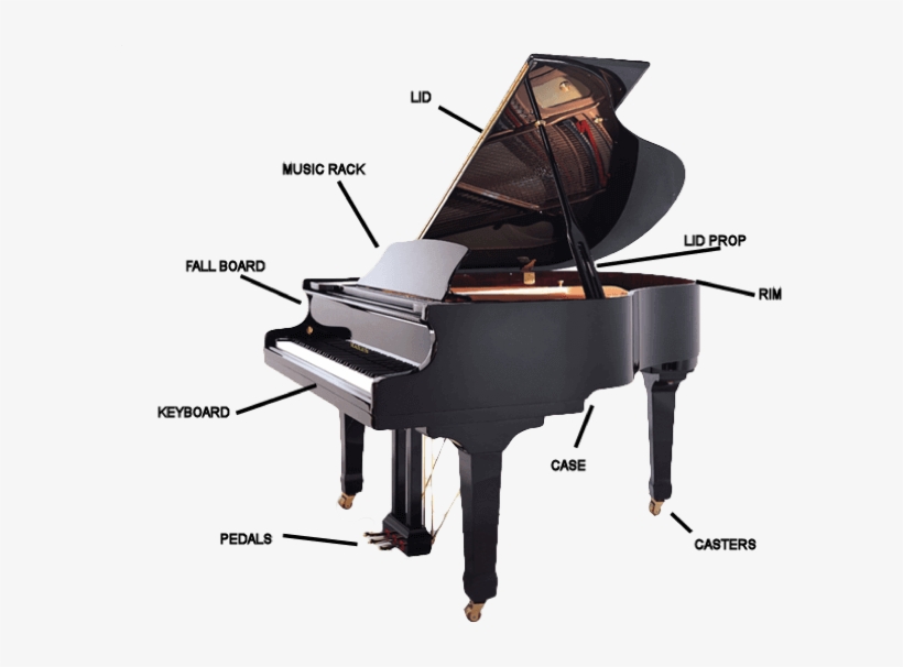 Guide To Buying A Baby Grand Piano - Baby, transparent png #1805068