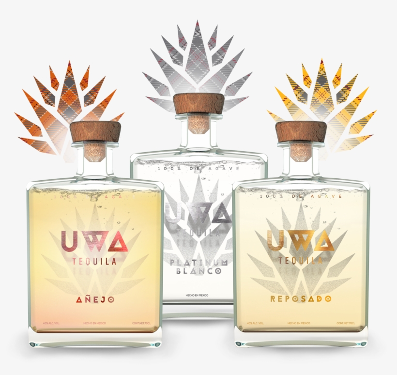 Alcoholic Beverage, transparent png #1805452