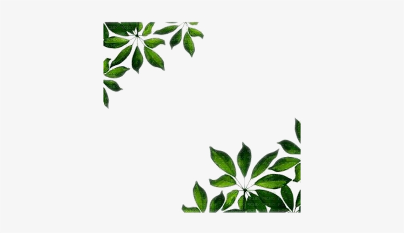 Frame Wonderful Picture Images - Green Leaf Border Png, transparent png #1805740