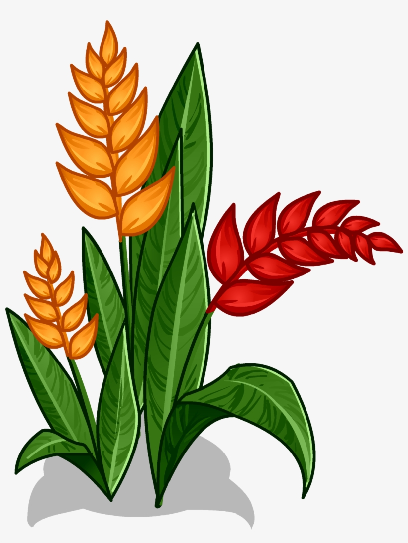 Rainforest Flowers Clipart At Getdrawings - Amazon Rainforest Flowers Cartoon, transparent png #1805777