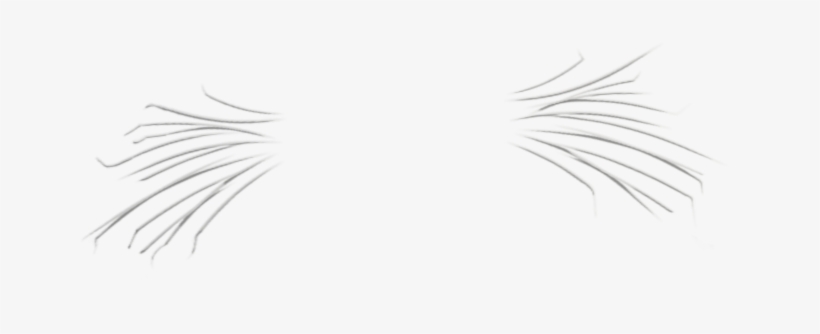 Boo Boo - Footprint, transparent png #1806343