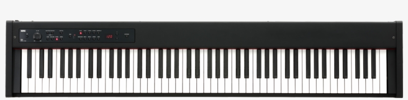 With Its High-quality Keybed Developed By Korg And - Casio Privia Px 560m, transparent png #1806532