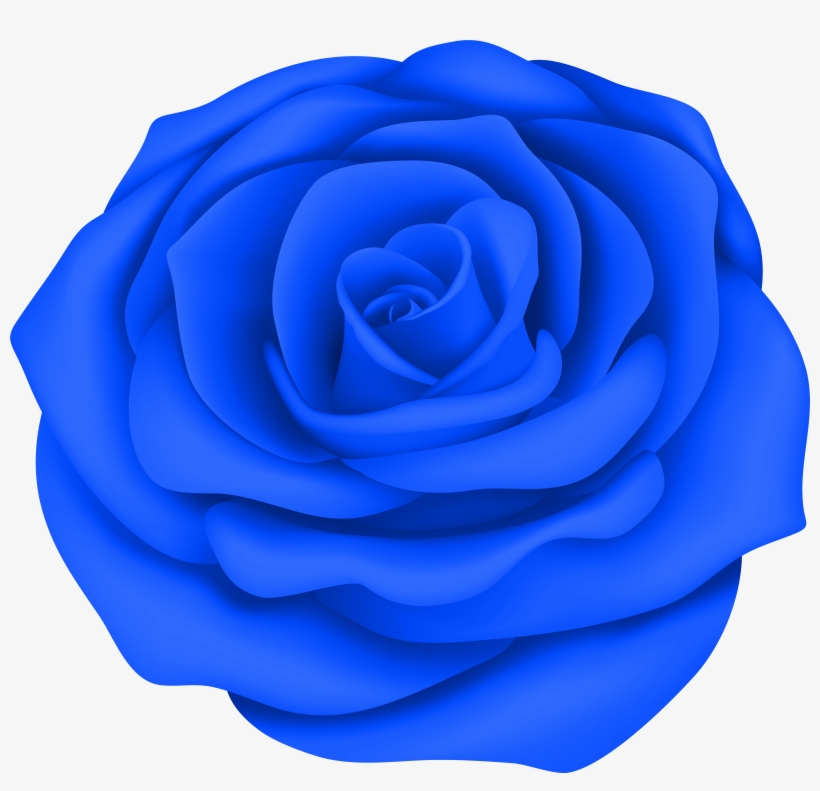 Blue Rose Png, transparent png #1806702