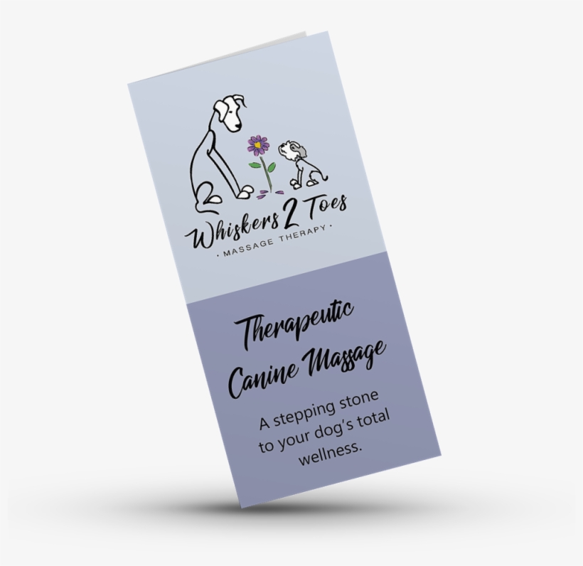 Whiskers 2 Toes Llc - Zoda Design, transparent png #1806849