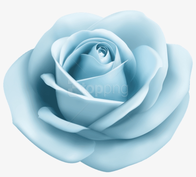 Pastel Blue Lightblue Babyblue Bluerose Rose Roses - Light Purple