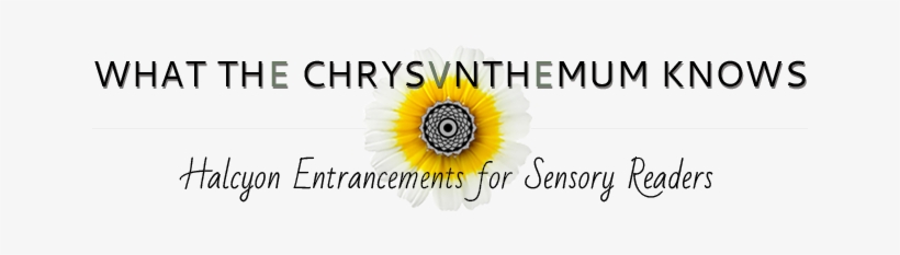 Wck Logo Main Small - Useless Magic: Lyrics And Poetry, transparent png #1807130