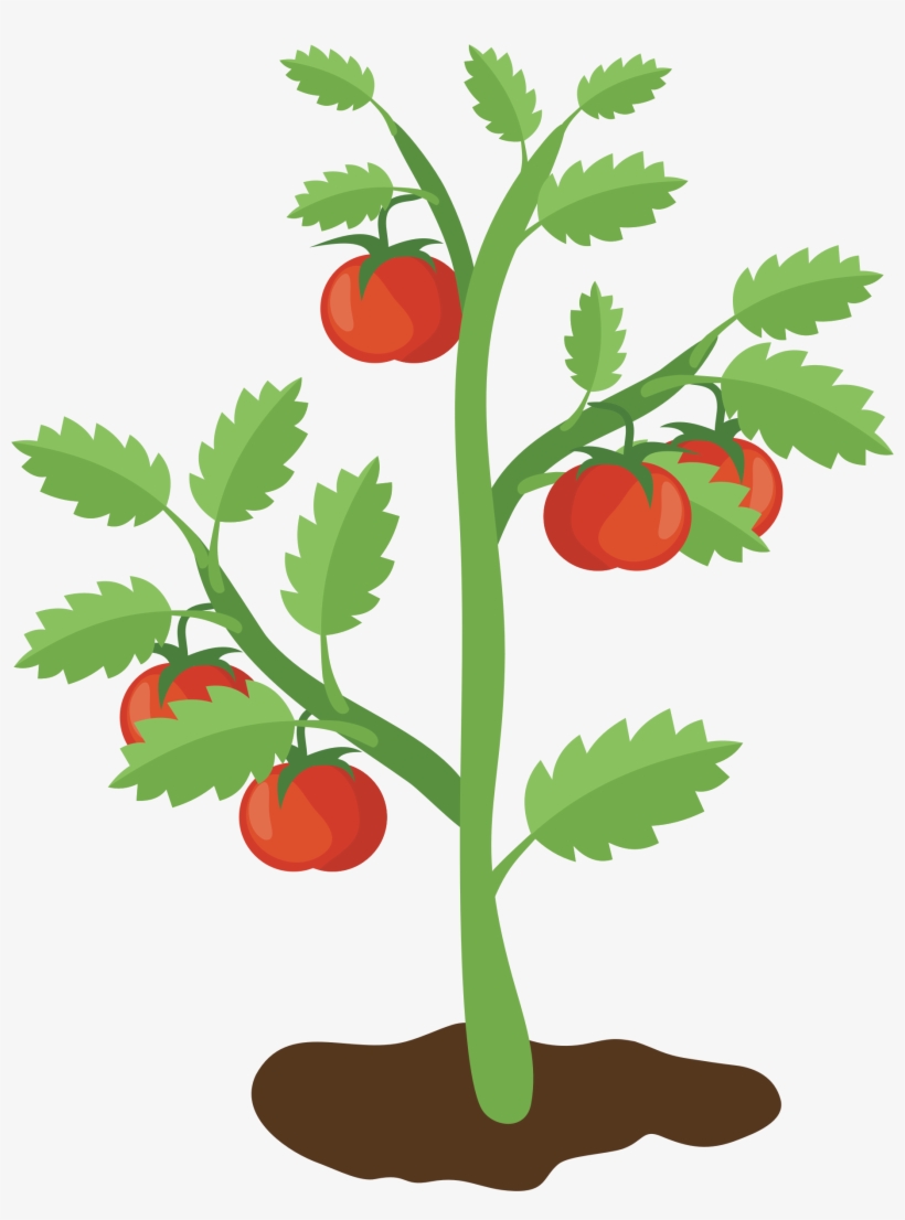Big Image - Clip Art, transparent png #1808338