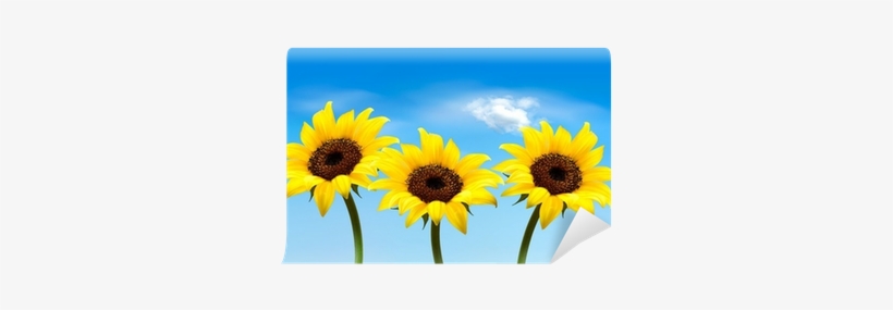 Nature Background With Three Yellow Sunflowers - Vector Graphics, transparent png #1808416