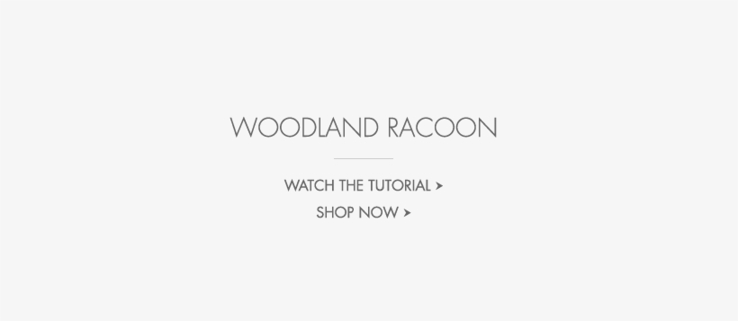 Woodland Raccoon Woodland Raccoon - Pottery Barn Kids Inc, transparent png #1808447