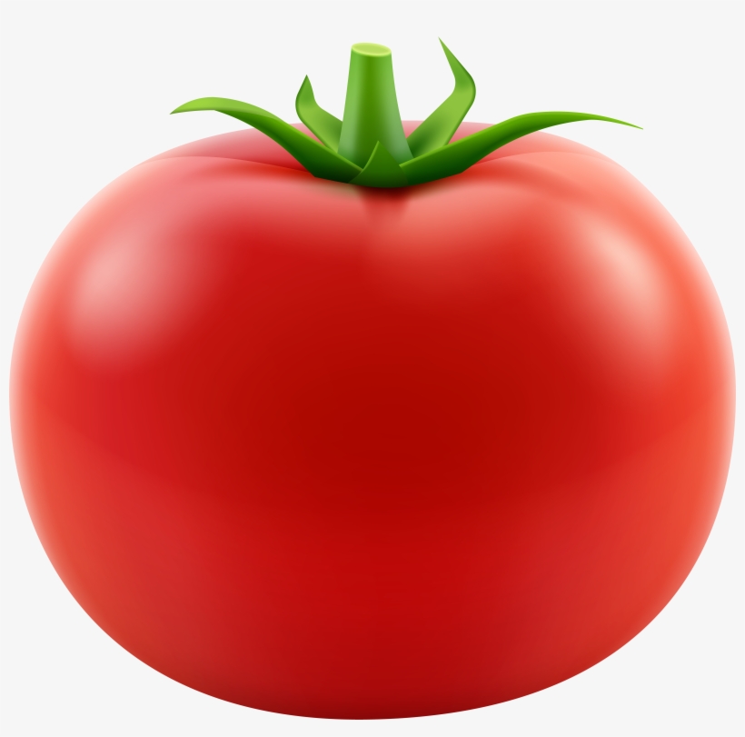 Tomato Plant Png, transparent png #1808706