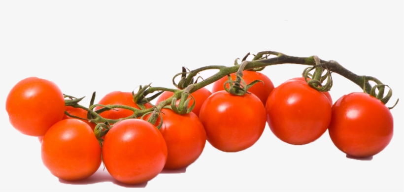 Tomato Png Stock Images - Tomato, transparent png #1809054