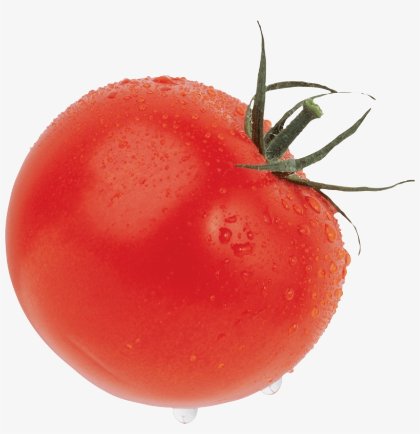 Free Png Red Tomatoes Png Images Transparent - Помидор Пнг, transparent png #1809077