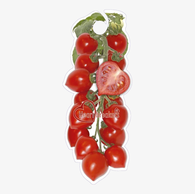 Click To Open Image Click To Open Image - Plum Tomato, transparent png #1809415