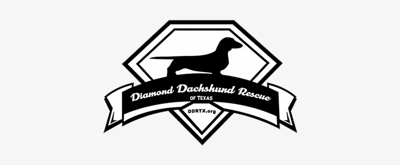 Diamond Dachshund Rescue Of Texas Logo - Heartworm Prevention 1st Of The Month, transparent png #1810228