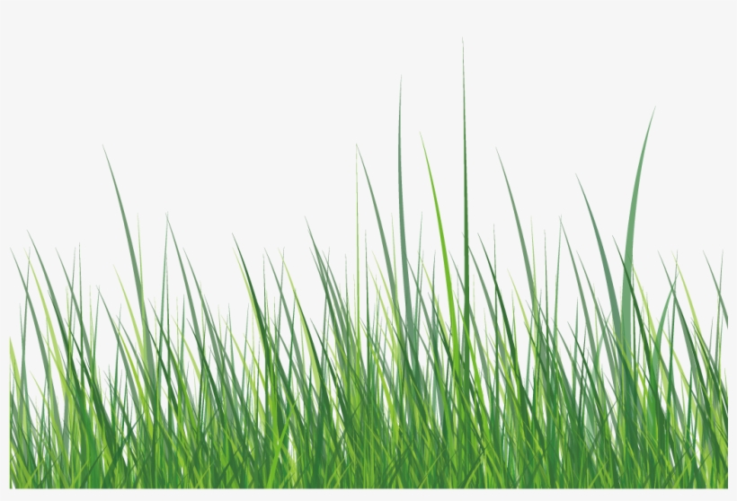 This Graphics Is Green Grass About Grass,roadside,ai,vector - Download, transparent png #1810647