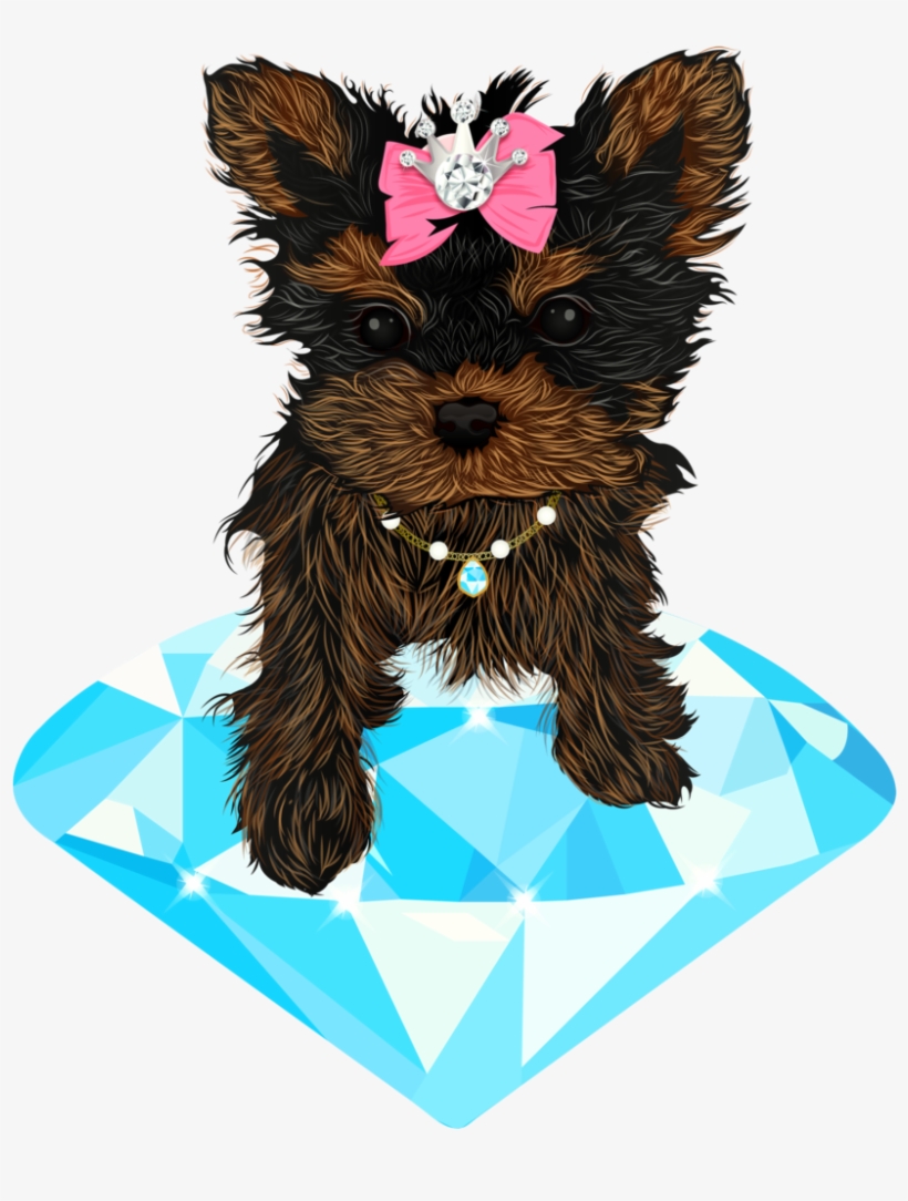 Diamonds Diamonds & Doggies Offers Many Levels Of Fine - Dog, transparent png #1810714