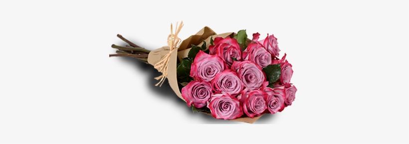 Purple Passion 1 Dozen - Passion Purple Roses, transparent png #1810952