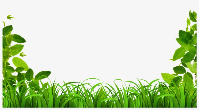 Vine Border, transparent png #1811436