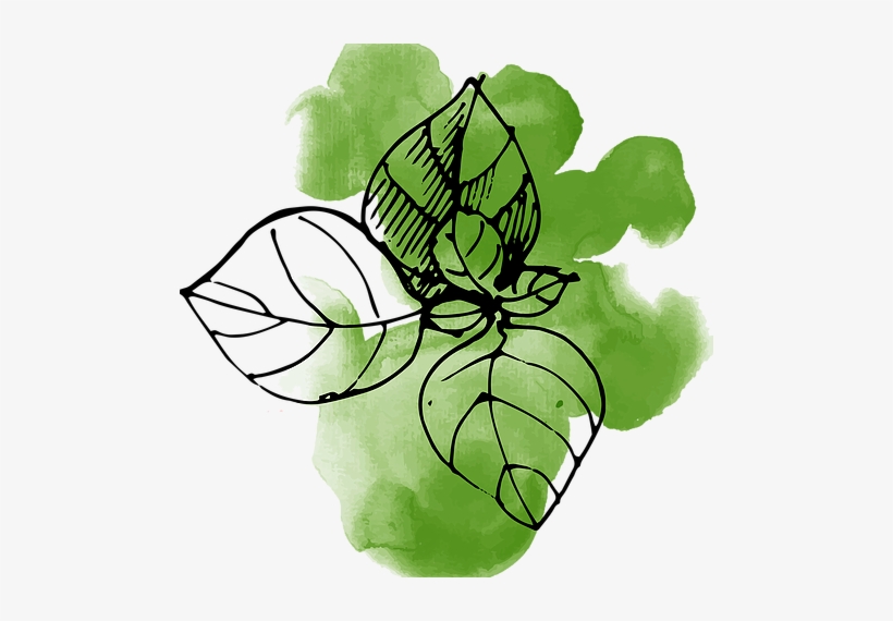 Watercolor Leaves - Watercolor Painting, transparent png #1811572