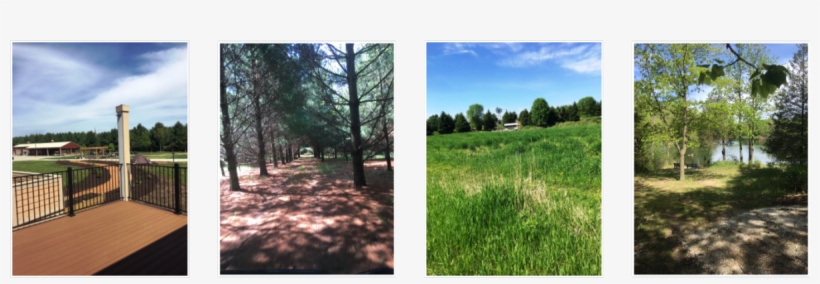 Post Race - Grove, transparent png #1811651