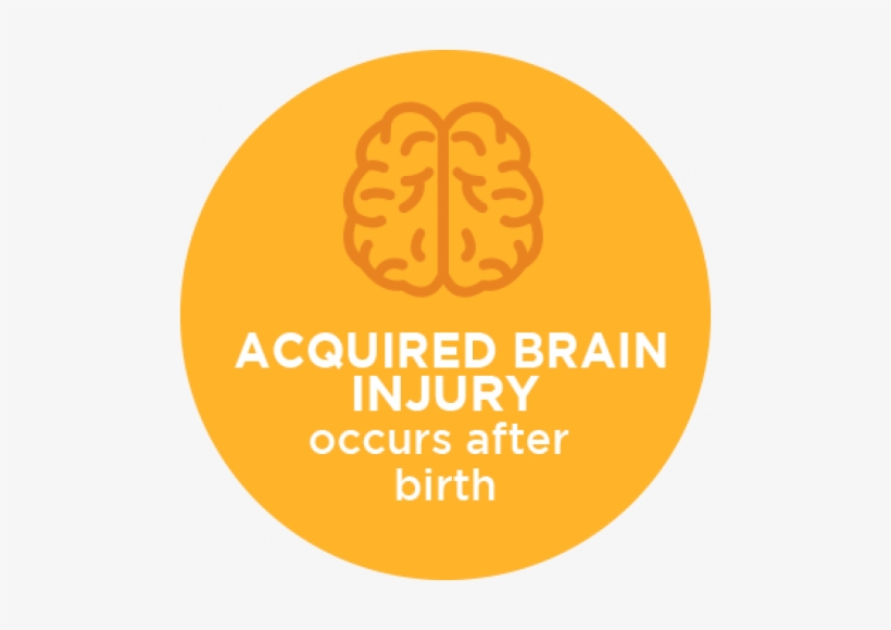What Is A Brain Injury - Circle, transparent png #1812211