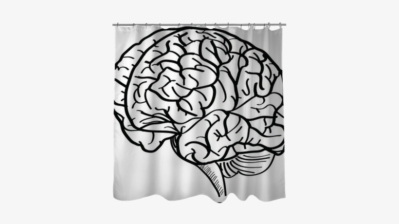 Human Brain Vector Outline Sketched Up - Brain Vector, transparent png #1812493