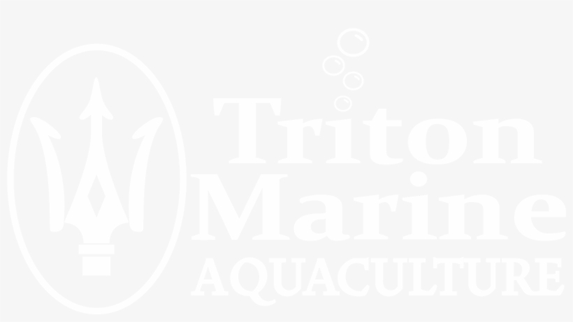 Testimage - Poster, transparent png #1812951