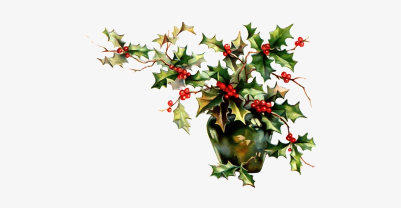 Christmas Holly From - Рождественское Растение, transparent png #1814107