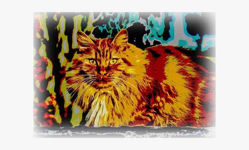 Click And Drag To Re-position The Image, If Desired - Fantastic Long-haired Golden Orange Cat, transparent png #1816554