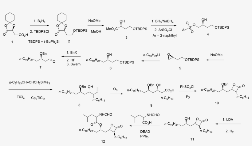 How Can I Buy Promethazine Codeine Syrup - Orlistat, transparent png #1816818