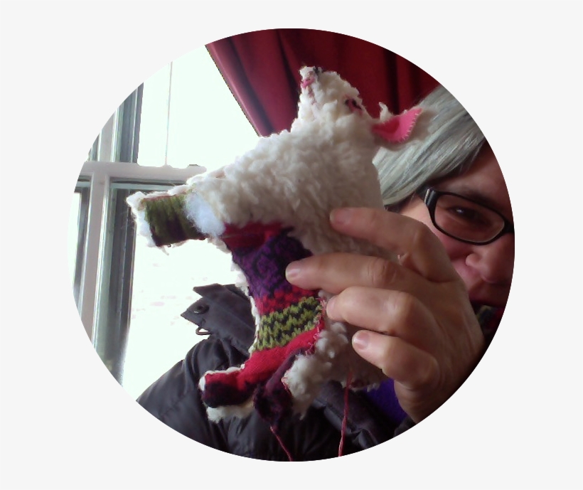 It Was Also Filthy, Stuffed With Wadded Pantyhose, - Sheep, transparent png #1817786