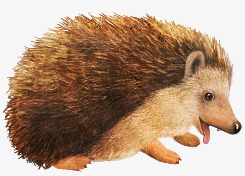 Picture Royalty Free Stock Cartoon Small Animal Material, transparent png #1818206